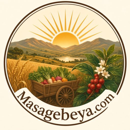Masagebeya.com